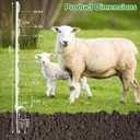 25Pack,48 Inch Heavy Duty Electrical Fence Post - UV Resistant Plastic Fence Posts for Livestock, Garden & Pasture, Easy Installation No Dig (White)