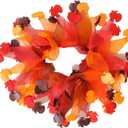 Midlee Thanksgiving Turkey Decorative Dog Collar (Large)