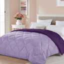 Seward Park Twin XL Size Light Purple Comforter Plum Lavender Reversible Lightweight Girls Cooling Bedding College Dorm Bedspread All Season Summer Blanket