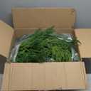 Jutom Christmas Deluxe Norfolk Pine Garlands Realistic Norfolk Pine Faux Greenery Garlands for Holiday Mantle Table Indoor Outdoor Wedding Christmas Decor(1 Pcs,18 Feet)