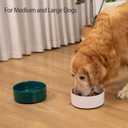 Large Dog Bowls, Non Slip Heavy Ceramic Dog Food and Water Bowl with Silicone Base, 8" Pet Feeding Bowl for Small, Medium, and Big Dogs (Green, 8 Inches)