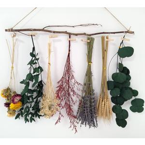 Dried Flower Wall Hanging - Peony, 7 Count, Large, Natural, Mixed, Rustic, 7 Kinds, U-Shape, Indoor, Home Decor