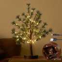 Hairui Christmas Tabletop Pine Tree Lights 60 LED 18IN Battery or USB Oprerated with Timer, Lighted Pine Tree for Home Winter Holiday Decor Indoor Use