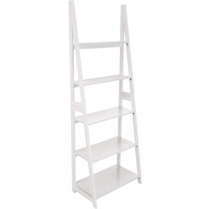 Amazon Basics 5-Tier Ladder Bookshelf Storage Organizer for Small Space, Easy to Assemble, Solid Rubberwood Frame, White Finish, 14D x 24.8W x 70.1H in