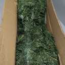6Ft Green Christmas Tree