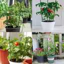 18" Small Plant Support Tomato Cages, 4 Pack Adjustable Garden Trellis for Indoor Outdoor Climbing Plants, Peony Flower Stakes with 66ft Garden Twist Ties, Green Metal Plant Cages for Pots & Garden