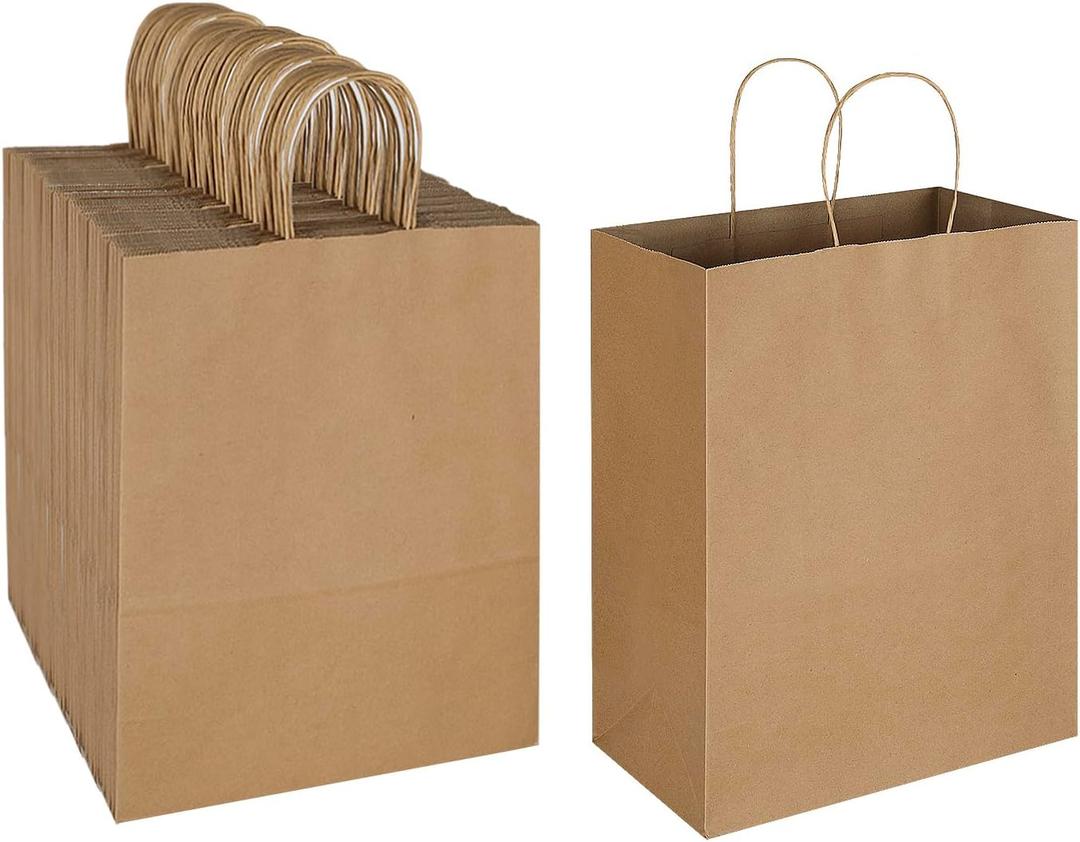 Oikss 100 Pack 10x5x13 Plain Natural Brown Kraft Paper Bags with Handles Bulk for Birthday Party Favors Grocery Retail Shopping Business Goody Recycled Craft Gift Bags (Large Size, 100 Count)