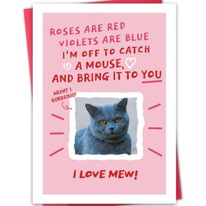 3 x Funny Cat Valentines Day Card - Roses Are Red Cat Card for Pet Owners (BT-158)