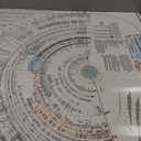Amazing Bible Timeline with World History (Standard 37" x 45")