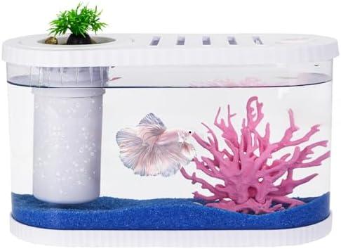 2.2 Gallon Fish Tank Kits,Small Aquarium Starter Kit,Nano Desktop Tank with Quiet Filter, Lid,Color-Changing Light&Decor for Betta Shrimp Guppy Jellyfish Goldfish Beta(12.6 * 7 * 5.6 Inch)