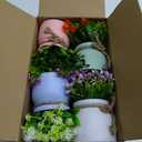 Der Rose 4 Pack Fake Flowers Small Artificial Faux Plants Indoor Summer Spring Decor for Centerpiece Table Decorations Home Office Desk Wedding Apartment Decor