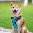 PoyPet No Pull Dog Harness, Reflective Comfortable Vest Harness with Front & Back 2 Leash Attachments and Easy Control Handle Adjustable Soft Padded Pet Vest for Small to Large Dogs (Blue,S)