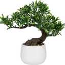 DILATATA Fake Bonsai Tree Zen Juniper Plant 10' Tall Artificial Bonsai with White Ceramic Pot Decorated with Pebbles Indoor Bonsai for Home Office Decor