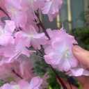 50PCS Artificial Cherry Blossom, Silk Cherry Blossom Branches, Realistic Fake Flowers for Weddings, Square Halls, Artificial Trees, Hotel Activities, Living Room Home Decoration (Medium Pink)