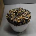 SAJANDAS Set of 2 Artificial Areca Palm Plants in Pots, 51 Inch Fake Tropical Palm Trees with Greenery Leaves and Stems, Faux Dypsis Lutescens Floor Plants for Office, Store, Garden, Home Decoration