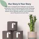 Reel Premium Toilet Paper - 12 Rolls of Toilet Paper - 3-Ply Made from Tree-Free - Zero Plastic Packaging, Septic Safe