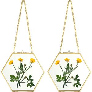 JUXYES Set of 2 Hexagon Wall Hanging Brass Frames for Pressed Flowers, Golden Glass Hanging Picture Artwork Display Frame, Double Glass Floating Style Gallery Wall Frame for Photo Picture Poster etc