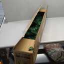 6 ft. PVC Unlit Artificial Slim Pencil Christmas Tree with Stand Home Holiday Decor Green