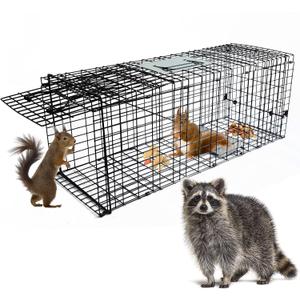 Live Animal Cage Trap, 32" x 11" x 12" Heavy Duty Folding Raccoon Traps, Humane Cat Trap for Stray Cats, Squirrels, Raccoons, Skunks, Groundhogs and Opossums, Catch and Release, Black