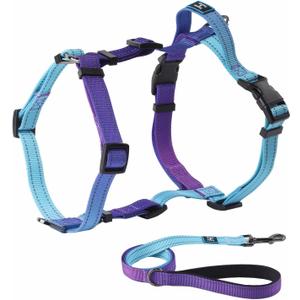Roses&Poetry Puppy Dog Harness and Leash Set, No Pull Dog Harness Adjustable Reflective, Dog Halter Harnesses Comfort Padded Handle, Pet Harness for Training Outdoor WalkingGsky-XS (Violet)