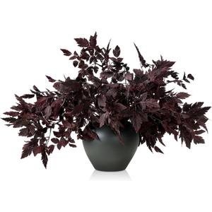 Lyrow 10 Pack 18 Inches Artificial Cimicifuga Plant Leaf Spray Faux Plum Cimicifuga Ramosa Leaf Branch Faux Fall Spray Silk Plants for Home Vase Wedding Garden Farmhouse Table Mantel Decor