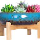 Succulent Pots - Large Succulent Planters Pots with Drainage, 10 Inch Ceramic Bonsai Pot with Stand Round Shallow Planter for Indoor/Outdoor Plants Decorative Garden Cactus Flower Container Bowl