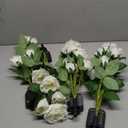 Anordsem Solar Garden Lights Outdoor: 10 Waterproof Fabric Roses Flower 4 Pack - LED White Landscape Lighting for Yard Cemetery Decorative - Christmas Gifts for Mom Homeowner Over 30