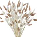 CISDUEO 120pcs Dried Bunny Tails Flowers Lagurus Ovatus Tail Dried Flowers Pampas Grass White and Light Brown Natural Dried Floral Arrangement for Boho Decor Home Wedding DIY Farmhouse Table 17"
