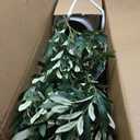 5FT Artificial Olive Tree with Realistic Leaves & Natural Trunk, Faux Silk Olive Plant in White Planter, Tall Fake Tree for Modern Home Office Living Room Entryway Corner Decor, Maintenance Free