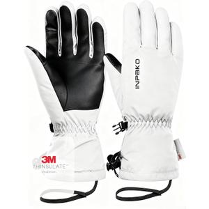 Ski Gloves Men & Women Waterproof 3M Thinsulate Winter Touchscreen Snow Gloves for Snowboard