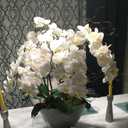 2 Pcs Orchid Stems 38" Artificial Flowers Real Touch Latex Faux Phalaenopsis Branches White Artificial Flowers for Wedding Party Home Garden Decor (White)