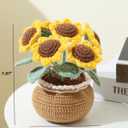 Ktmeor Crochet Kit for Beginners, Sunflower Crochet Starter Kit with Step-by-Step Video Tutorials, 40% Extra Practice Yarn