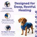 Surgi Snuggly Dog Surgery Recovery Suit - Dog Onesie for Post Surgery Recovery, Female Spay & Male Neuter - Surgical Suit for Dogs, E-Collar Cone Alternative, Double Blue - Small Long - 12" - 15" (EC)