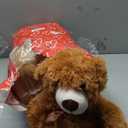 MorisMos 14 Piece Teddy Bears Bulk Baby Shower,14 Inch Cute Teddy Bear Stuffed Animals Plush,Small Stuffed Bears,Centerpiece Decoration,Brown,White,Dark Brown