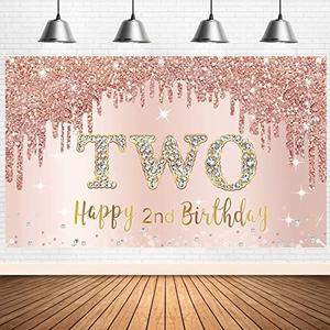 Rose Gold 2nd Birthday Banner & Poster Background Decorations for Girls - Happy 2 Year Old Party Supplies