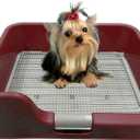 PS KOREA] Indoor Dog Potty Tray - with Protection Wall Every Side for No Leak, Spill, Accident - Keep Paws Dry and Floors Clean (Wine)