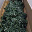 Costway 6Ft Pre-Lit Artificial Christmas Tree Hinged 350 LED Lights