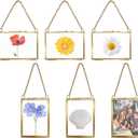 6 Pcs Brass Hanging Mini Photo Frame Double Glass Floating Picture Frame with Chain Vintage DIY Display Frame for Pressed Flowers Artwork Home Wall Decor(3.5x2.5 Inch)
