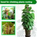 Moss Pole, 2 Pack 17 Inch Monstera Plant Support for Climbing Plants Accessories Indoor, Stackable Moss Poles Plant Support Stakes, Coir Plant Pole Sticks for Potted Plants, Pothos, Philodendron