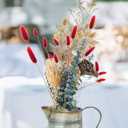 CISDUEO 120pcs Dried Bunny Tails Flowers Red Lagurus Ovatus Tail Dried Flowers Pampas Grass Natural Dried Floral Arrangement for Boho Decor Home Wedding DIY Farmhouse Table Christmas Halloween (17")