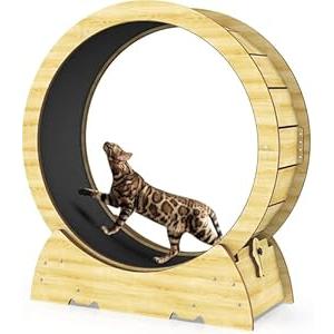 Cat Exercise Wheel for Indoor Cats  Cat Treadmill Wheel with Detachable Carpeted Runway  Natural Solid Wood Sturdy Running Wheel for Running/Walking/Training  Suitable for Most Cats, 36"