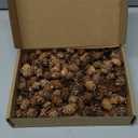 200PCS Christmas Natural Pine Cones Mini Fall Decorations Pinecones Ornaments Bulk Small Pine Cones for DIY Crafts Thanksgiving Fall Winter Christmas Wedding Decor Vase Filler Decor