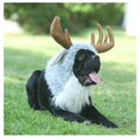 Onmygogo Funny Dog Halloween Costumes, Cute Furry Pet Wig for Halloween Christmas, Pet Clothing Accessories (Moose, Size M)