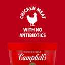 Campbell's Homestyle Chicken Noodle Soup Microwavable Bowl, 15.4 oz.