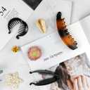 ROYHOO 20PCS Banana Hair Clips Classic Hair Comb Banana Clips Ponytail Hair Holder for Women Girls, 7 Styles