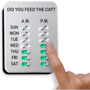 Did You Feed The Cat?
