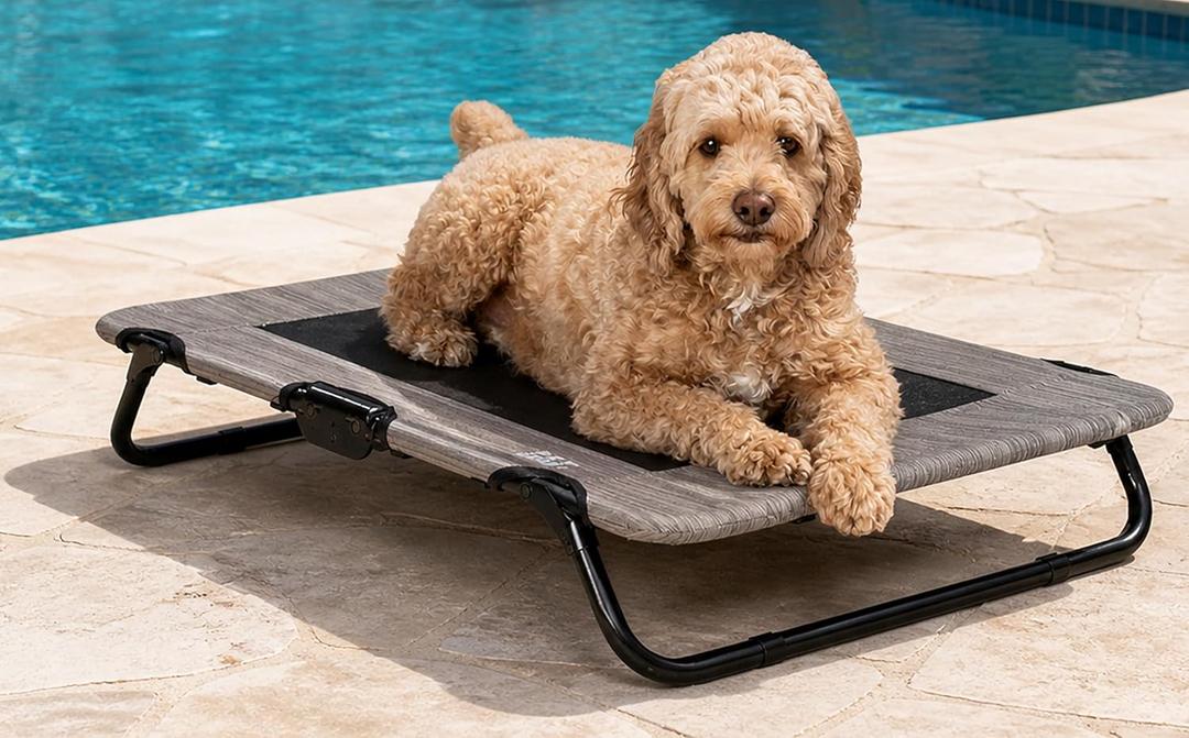 Pet Gear Lifestyle Pet Cot Elevated Bed, 30 Inch, Wheat | No Assembly Required, Premium Tear Resistant Cooling Mesh, Indoor & Outdoor, Lightweight & Portable