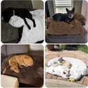 GGIB Calming Dog Bed Fluffy Plush Dog Mat for Furniture Protector with Removable Washable Cover for Medium Dogs and Cats (Medium, Coffee)