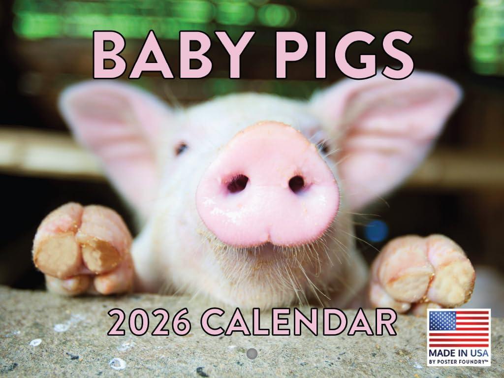 Baby Pig Calendar 2026 Wall 12 Month Piglet Gifts For Pigs Lovers Women Men Monthly Calender | American Made In The USA