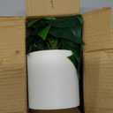 Artificial Pothos Plant with Plastic Pot - Fake Indoor Faux Plant for Home Office Decor 1 Pack